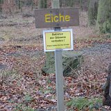 ID: Wertholz P1090852 • Titel: Wertholzplatz diverse   Wald, Forst, Hessenforst, Nordhessen : Wald, Forst, Hessenforst, Nordhessen