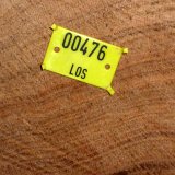 ID: Wertholz P1090855 • Titel: Wertholzplatz diverse   Wald, Forst, Hessenforst, Nordhessen : Wald, Forst, Hessenforst, Nordhessen