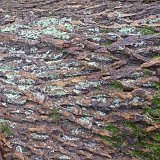 ID: Wertholz P1090888 • Titel: Wertholzplatz diverse   Wald, Forst, Hessenforst, Nordhessen : Wald, Forst, Hessenforst, Nordhessen