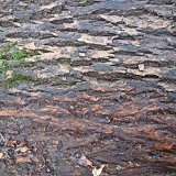 ID: Wertholz P1090889 • Titel: Wertholzplatz diverse   Wald, Forst, Hessenforst, Nordhessen : Wald, Forst, Hessenforst, Nordhessen