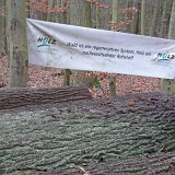 ID: Wertholz P1090906 • Titel: Wertholzplatz diverse   Wald, Forst, Hessenforst, Nordhessen : Wald, Forst, Hessenforst, Nordhessen