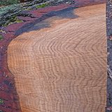 ID: Wertholz P1090914 • Titel: Wertholzplatz diverse   Wald, Forst, Hessenforst, Nordhessen : Wald, Forst, Hessenforst, Nordhessen