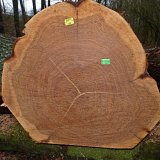 ID: Wertholz P1090942 • Titel: Wertholzplatz diverse   Wald, Forst, Hessenforst, Nordhessen : Wald, Forst, Hessenforst, Nordhessen