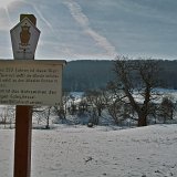 ID: Alte Bäume SDIM0076 • Titel: Erste Eiche Gut Hessel   Alte Bäume, Naturdenkmale, Winter, Eichsfeld, Thüringen, Wiesenfeld, Hesselbach : Alte Bäume, Naturdenkmale, Winter, Eichsfeld, Thüringen, Wiesenfeld, Hesselbach