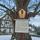 ID: Alte Bäume SDIM0152 • Titel: Dorflinde in Volkerode   Alte Bäume, 550 Jahre, Naturdenkmale, Winter, Eichsfeld, Volkerode : Alte Bäume, 550 Jahre, Naturdenkmale, Winter, Eichsfeld, Volkerode